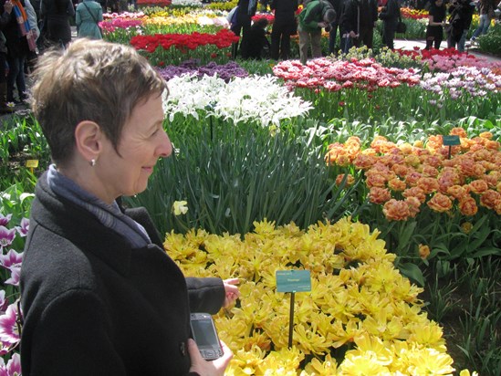 Rest in peace, dear Ruth - Ronald Gorter, Amsterdam (Picture: Ruth among Dutch tulips, after one of our many great work meetings) 