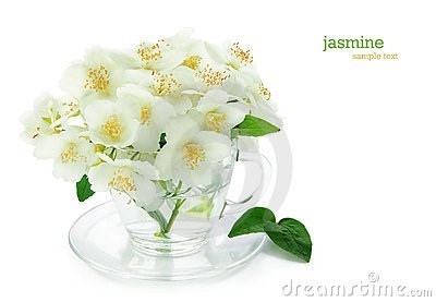 bunch-jasmine-flowers-14462013