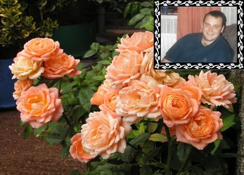 This rose was bought by Derek and Mandy in Ricky's memory