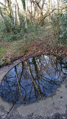 The Holy Well in the Gorest