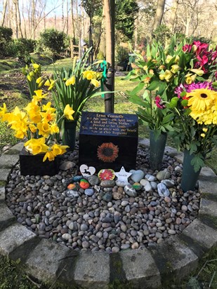Lynn’s memorial at Crawley, unable to visit today due to lockdown 