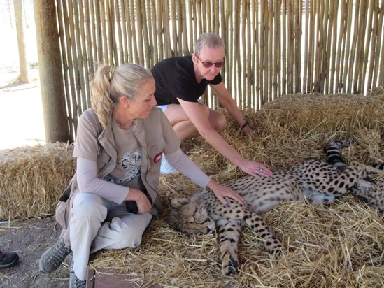 South Africa 2018 with baby Cheetahs, Lorraine would have been 57 today. Sorely Missed Much Loved Still. Dave