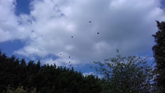 Release of balloons at Mark's funeral 14/6/2017