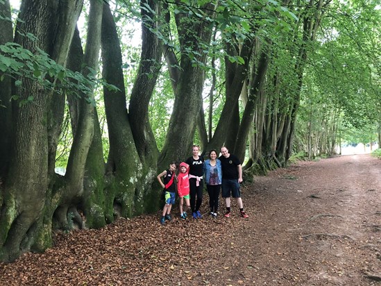 A beautiful family walk in woodland - August 2018