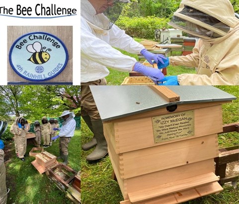 The Bee Challenge & Izzy's hive