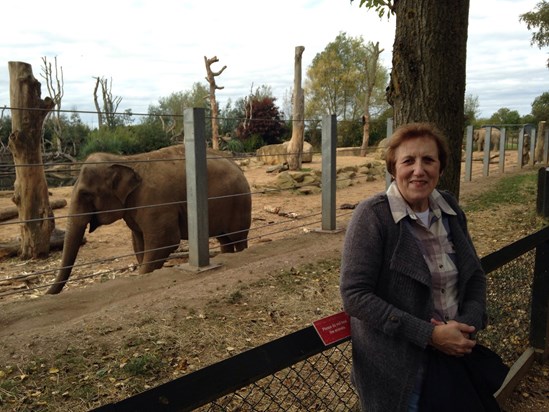 Mum at Twycross Zoo