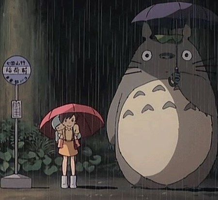 Magical Totoro - so you are not alone