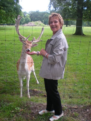Mum feeding deer, possibly in Holland.
