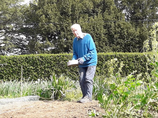 planting vegetables in Barcombe