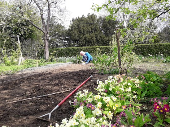 planting vegetables in Barcombe