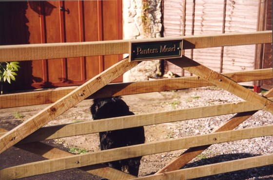 Jet behind gate