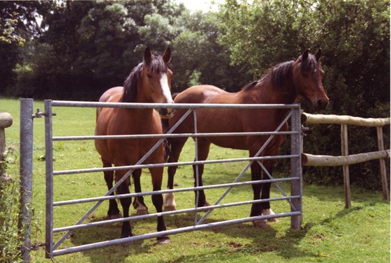 Tara & (name) at Panters Mead