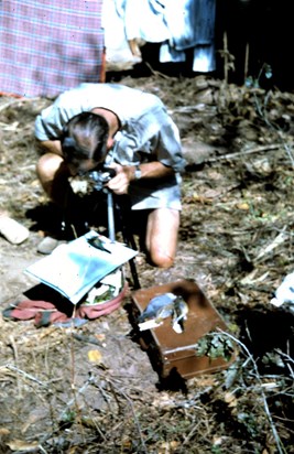 Alex photographing specimens for ornithology Chironi 1966