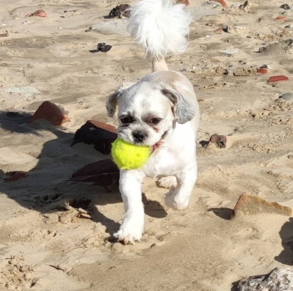 PIP Sept 2020 Formby beach