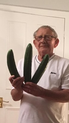 Dad (pops) proud of his cucumbers 