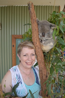 Koala Bear experience, Sydney Australia, Dec 2015.