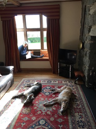 March 2018 break in Pwllheli with Amber, George and two lazy dogs