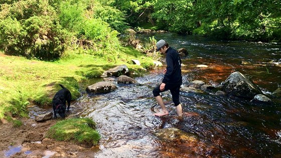 Day out on Dartmoor June 2020