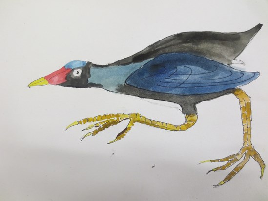 Moorhen - watercolour by Graham with Yalding Art Group