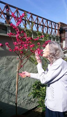 Mum loved her garden