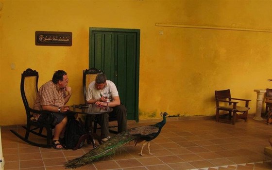 Nic, myself and a peacock enjoying cigars in Cuba in 2012