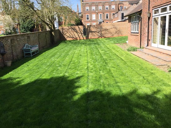 Your lawn in fulsome green April 2017