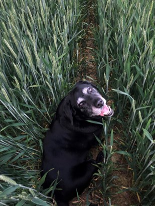 In her favourite field