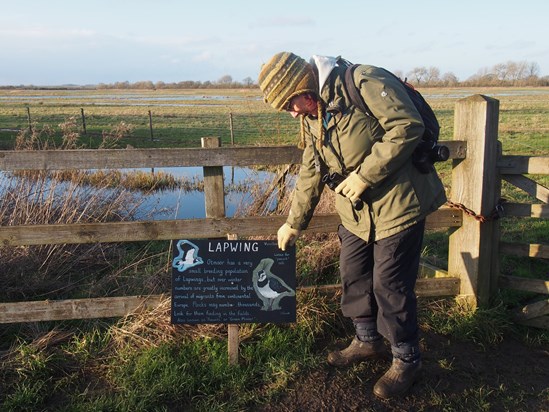 Admiring her lapwing board at Otmoor, Jan 2020 JB