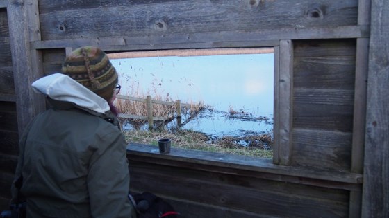 RSPB Otmoor - Suzanne at the first screen, Jan 2020.  JB