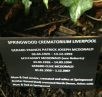 Springwood Crem Liverpool notice