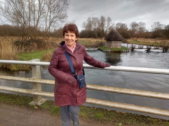 Longstock Test river