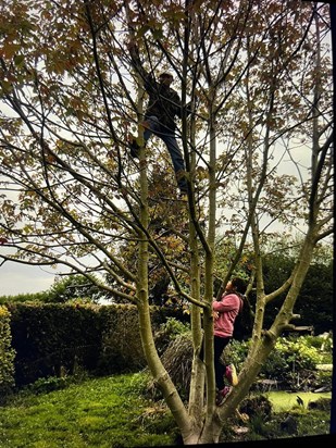 “And this is how you climb a tree Abby!”