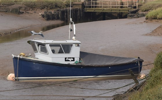 2016 09 15 Iain's boat and heron