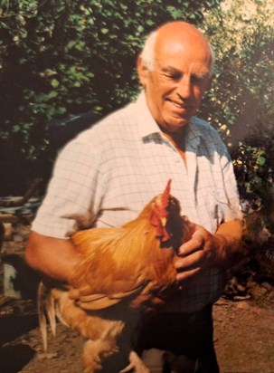 Gordon with one of his beloved Plymouth Buff Rock (rare breed) cockerels 