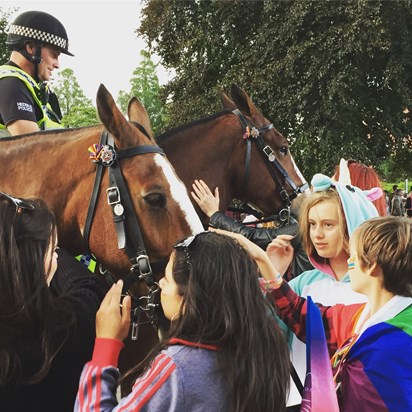 Unicorn meets police horse
