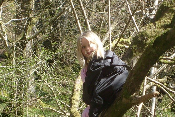 Up a tree in Wales - Easter 2007