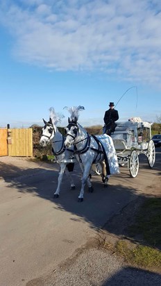 Beautiful horses taking my baby to the church