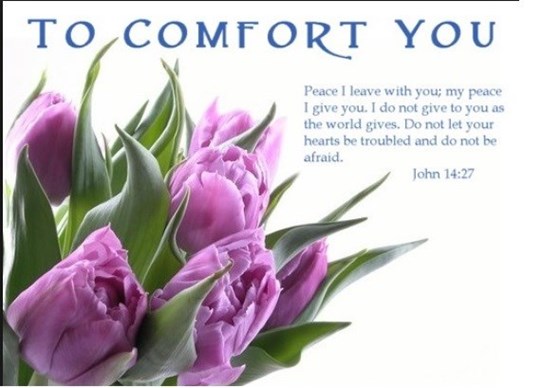 To Comfort You....