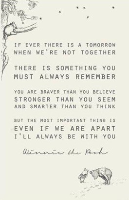 Something to Remember - Winnie the Poo