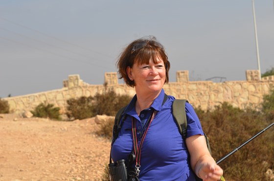 Sun and new birds in Morocco.