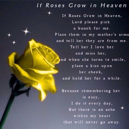 If-Roses-Grow-In-Heaven