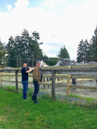 April 2017 checking out the horses with david near backyard vineyards 