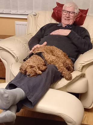David on 18 Dec when he was already quite unwell.  Our dog Poppy thought he needed some TLC and sat on his lap all afternoon.