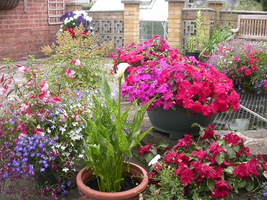 Joyce's lovely garden in 2005