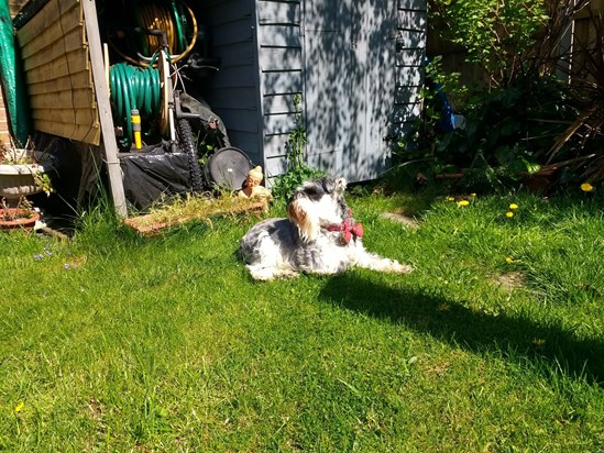 You always like to pose in the garden and sunbathe. You were a model and you knew it.