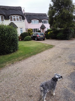 Lola successfully guiding me back to our holiday house after a lovely walk on the beach.  I miss our early morning exploring adventures.  Love you little girl xxx