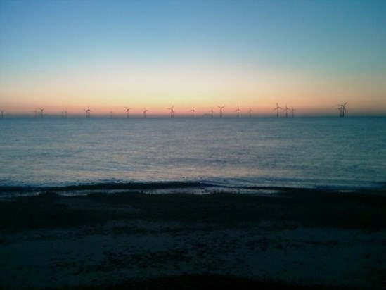 You got me up at 5am to take you for a walk so we went on the beach and saw the day break.  There was no one else around just the two of us watching the sun come up behind the wind turbines.  I miss our early morning exploring, I miss you my friend.