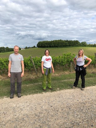 Walking Denbies Vineyard 