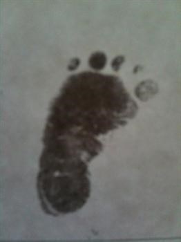 charlottes footprint