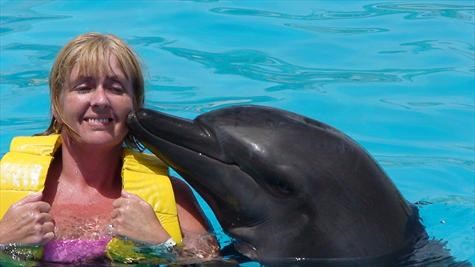 Theresa's dream come true. Swimming with the Dolphins 